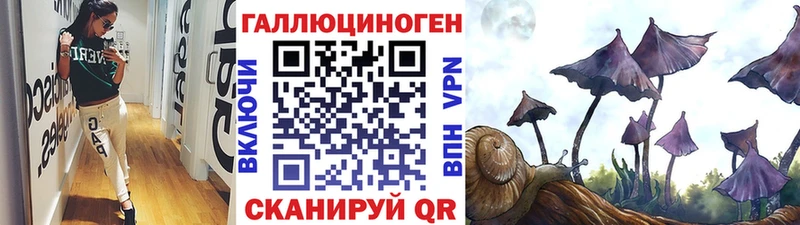 купить наркотик  Реутов  Псилоцибиновые грибы Psilocybine cubensis 